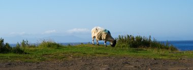 İskoçya seyahat skye Adası