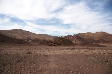 Arava çölde seyahat