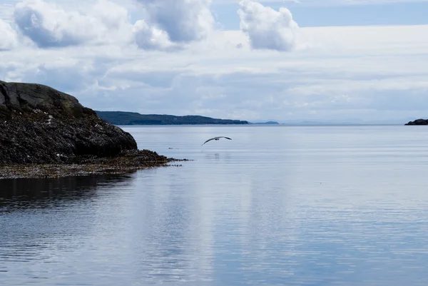 Морська Прогулянка в Шотландії — стокове фото