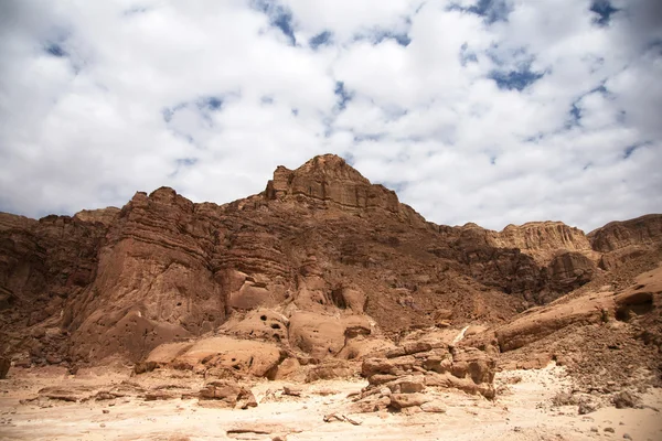 Arava 砂漠旅行します。 — ストック写真