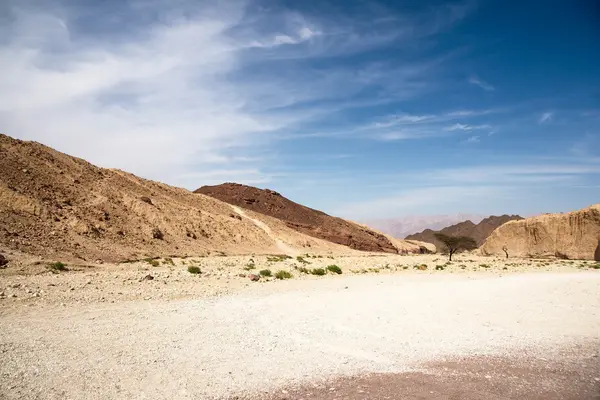 Arava 砂漠旅行します。 — ストック写真