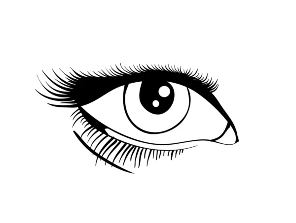 Векторный глаз — стоковый вектор