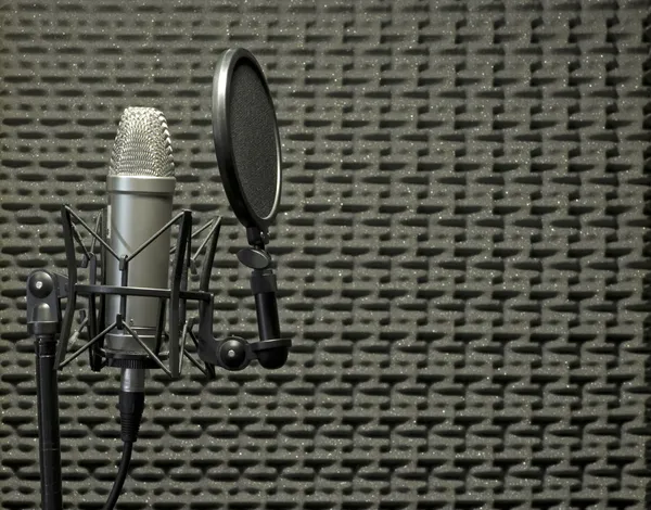 Мікрофон в акустичній кабіні — стокове фото