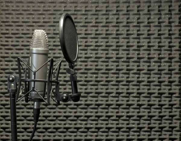 Microphone in Acoustic Booth Royalty Free Stock Images