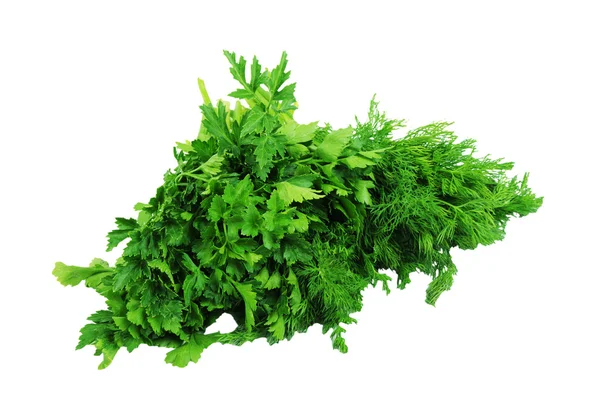 Parsley and dill — Stock Photo, Image