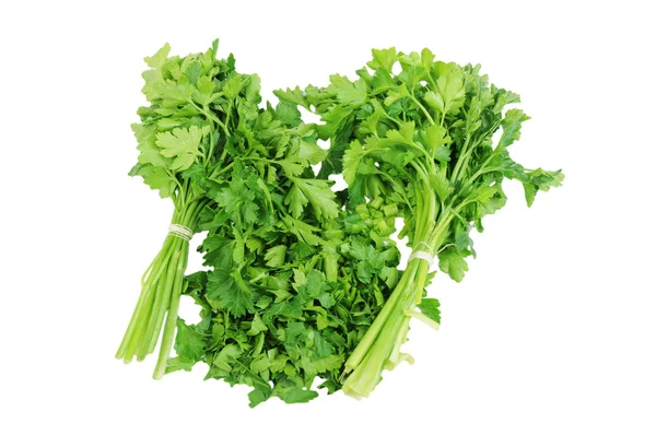Chopped parsley Isolated on the white background — Stock Photo, Image