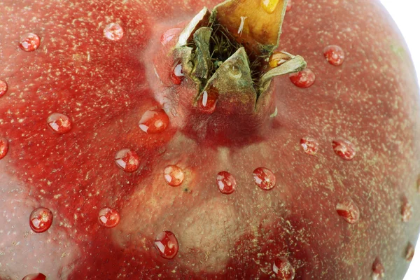 Granatapfel mit Wassertropfen auf weißem Hintergrund — Stockfoto