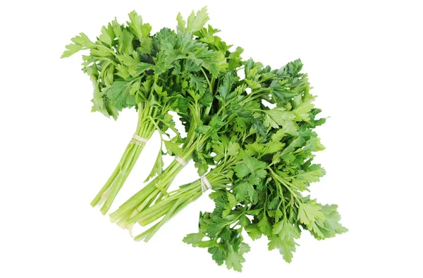 Bunch of parsley Isolated on the white background — Stock Photo, Image
