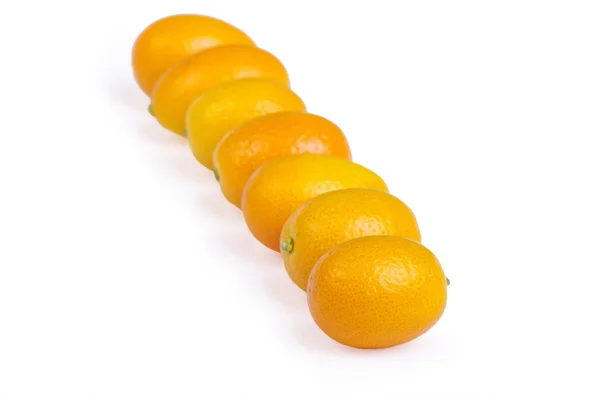Grupo kumquat isolado no fundo branco — Fotografia de Stock