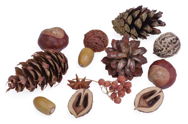 Composição de cones secos e frutas — Fotografia de Stock
