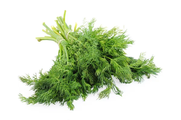 Bunch of dill isolated on the white background — Stock Photo, Image