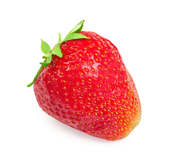 Jediné jahody na bílém pozadí — Stock fotografie