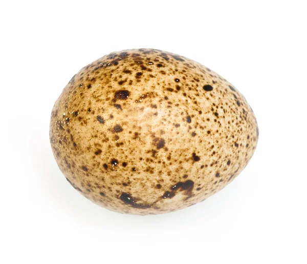 Jaja przepiórcze na białym tle na białym tle — Zdjęcie stockowe