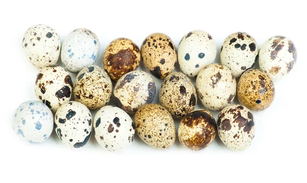 Ovos de codorna isolados sobre branco o fundo — Fotografia de Stock
