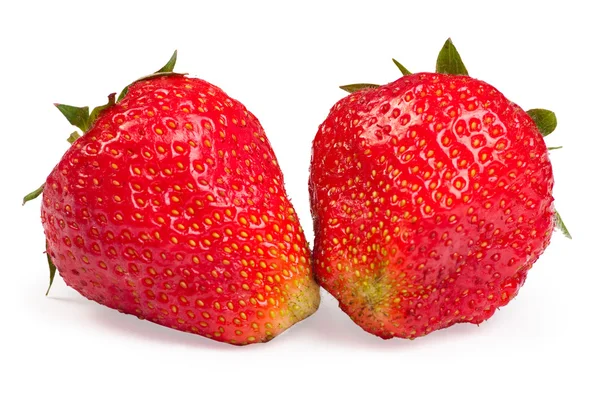 Zralé jahody izolovaných na bílém pozadí — Stock fotografie