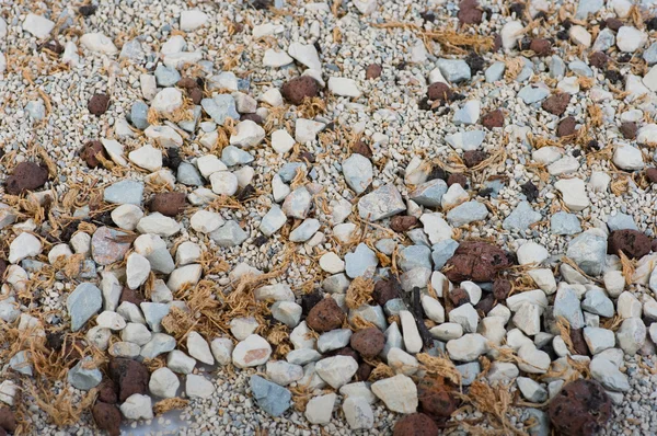 stock image Background of the stones