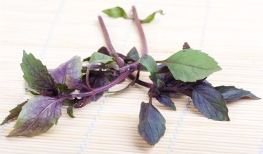 Bambu hasır üzerinde taze fesleğen