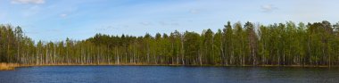 Panorama of small wood lake clipart