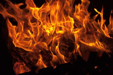 Burning fire wood clipart