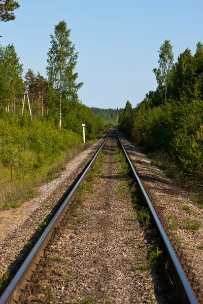 Ferrocarril en madera — Foto de Stock