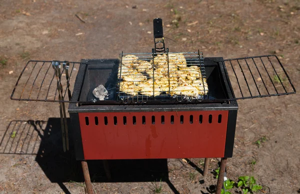 Stock image Chicken shish kebab