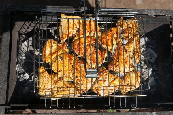 stock image Chicken shish kebab