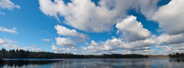 春に木製湖 — ストック写真