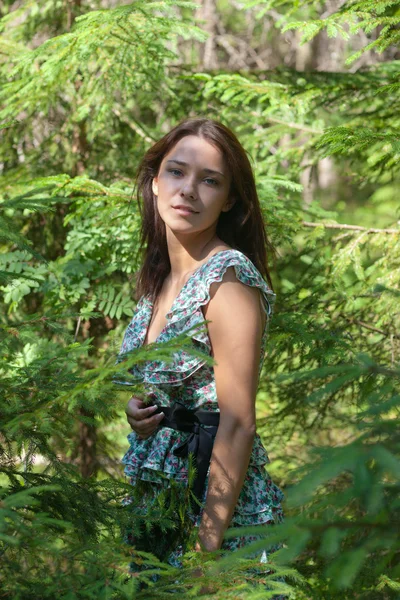Девушка в еловом лесу — стоковое фото