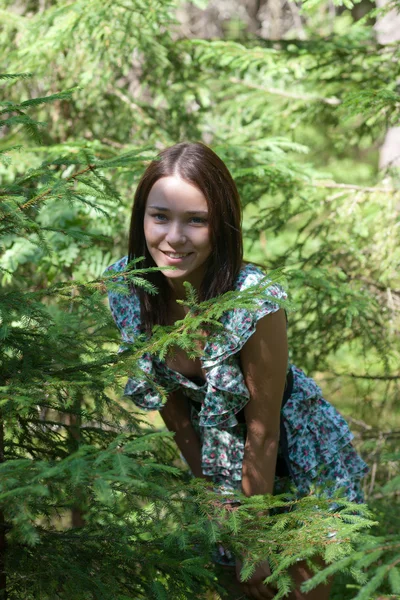 杉木树木材中的女孩 — 图库照片