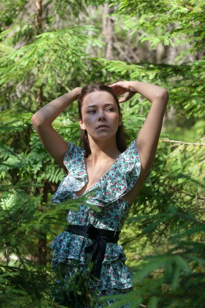 전나무-트리 나무 소녀 — 스톡 사진