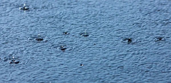 Drops of a summer rain — Stock Photo, Image
