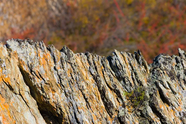 Cresta de roca — Foto de Stock