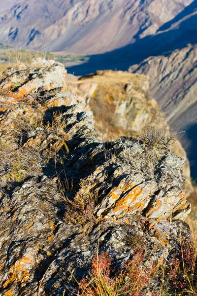 秋の岩 — ストック写真