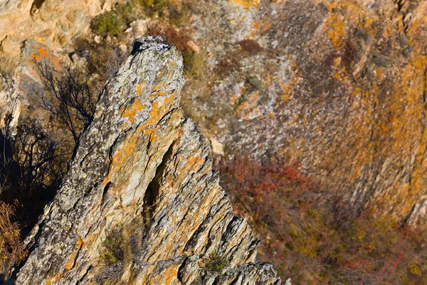 Autumn rocks — Stock Photo, Image