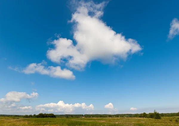 stock image Summer sky