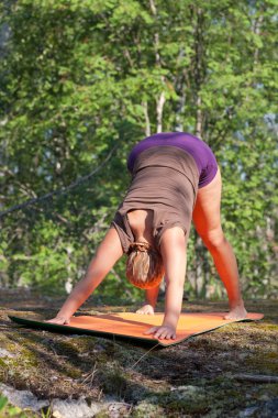 adho mukha svanasana poz