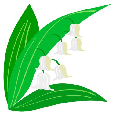 Lily-of-the-valley clipart