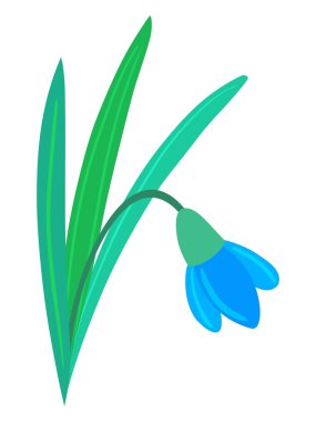 Snowdrop clipart