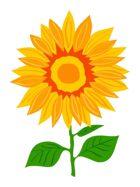 Floarea soarelui — Vector de stoc