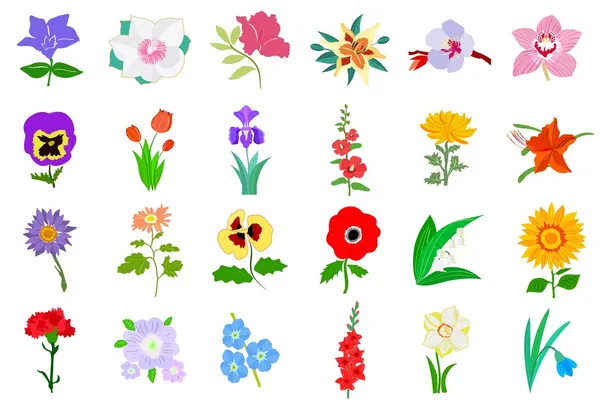 Set di fiori — Vettoriale Stock