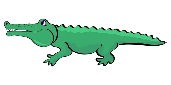 Illustration des Krokodils — Stockvektor