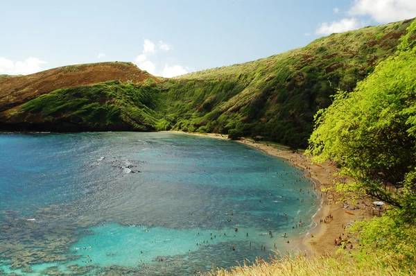 Hanauma Bay Reef beach Honolulu Hawaii — Stock Photo © Nikonite #1290681