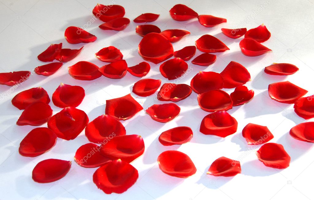 Red Rose flower petals spa aromatherapy — Stock Photo © Nikonite 6464306