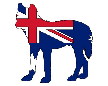 Australian Dingo clipart