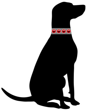 Dog flea collar clipart