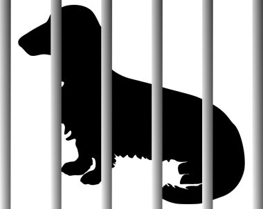 Dachshund in animal shelter clipart