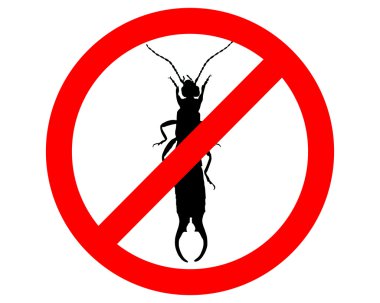 Earwig prohibited clipart