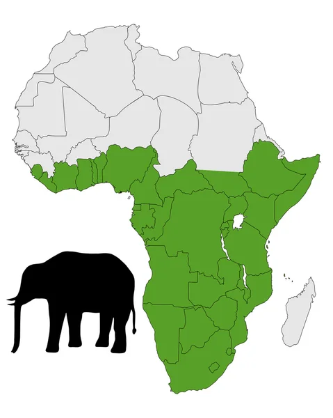 African elephant range — Stock Photo, Image