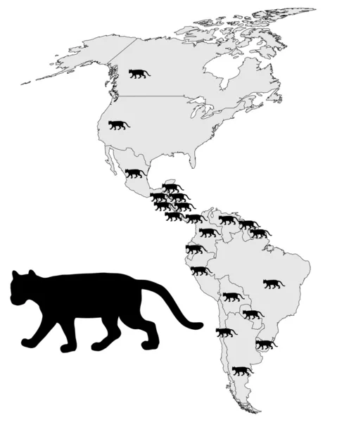 Mapa zasięgu Puma — Zdjęcie stockowe
