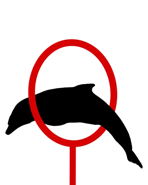 海豚剪影 — 图库照片